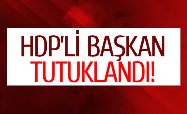 HDP’li Başkan tutuklandı!