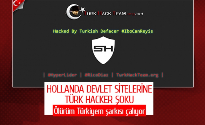 Hollanda devlet sitelerine Türk hacker şoku