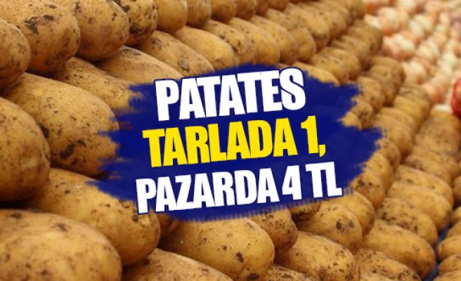 Patates tarlada 1, pazarda 4 TL