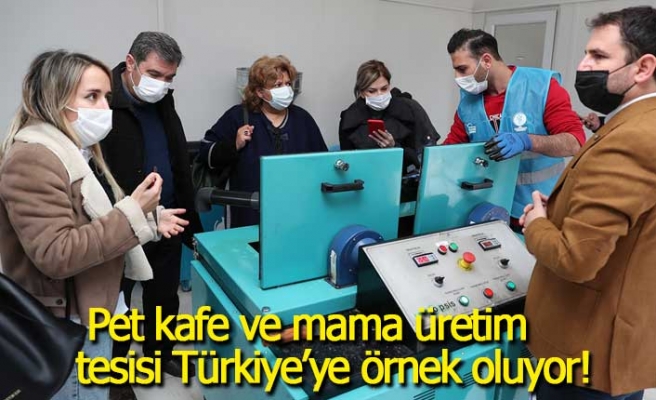 Pet kafe ve mama üretim tesisi Türkiye’ye örnek oluyor