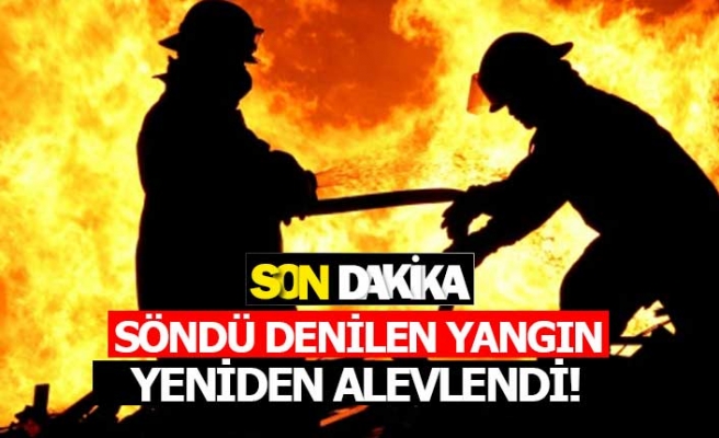 Denizli'de yangın yeniden başladı