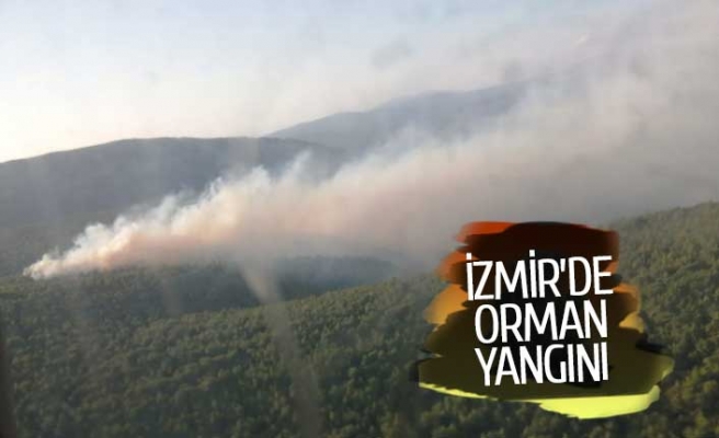 İzmir'de orman yangını başladı
