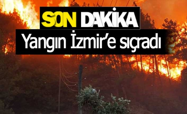 Yangın İzmir’e de sıçradı