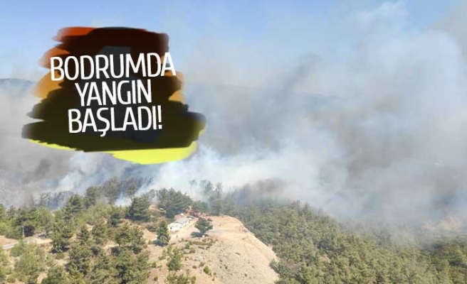 Bodrum'da orman yangını başladı!