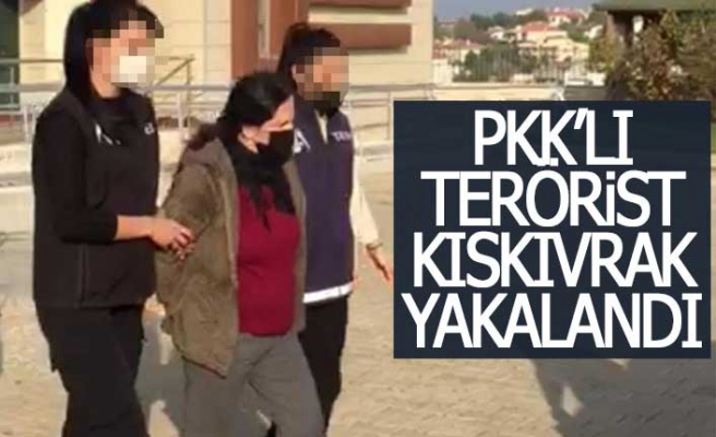 PKK'lı terörist kıskıvrak yakalandı