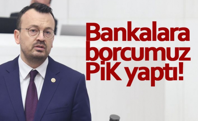Bankalara borcumuz PİK yaptı!