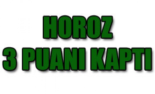 Horoz'dan kritik zafer