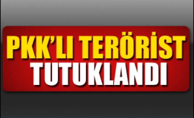 PKK’lı terörist tutuklandı